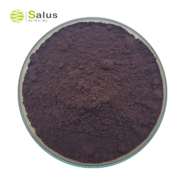 Reishi Broken Spore Powder