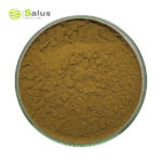 Gymnema Sylvestre Extract