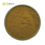 Gymnema Sylvestre Extract