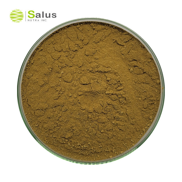 Gymnema Sylvestre Extract