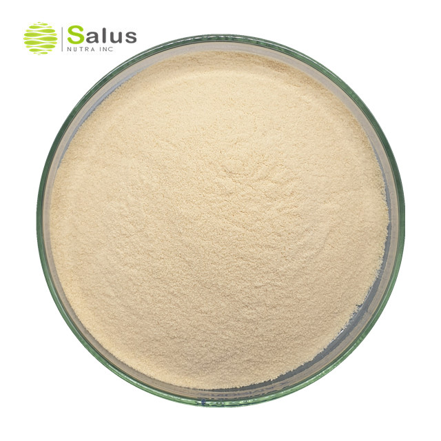 Wheat Germ Extract Spermidine