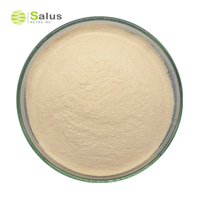 Wheat Germ Extract Spermidine